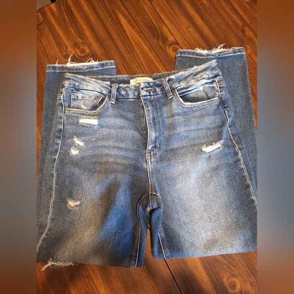 Flying Monkey - Picture 1 of 5